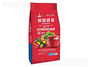 ���@�Č�-���۠�-���۠�