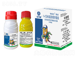 1+1���������݄����b-��O��-�t�f(w��n)��-�l(xi��ng)�弾�L(f��ng)-���˹����r(n��ng)�� 