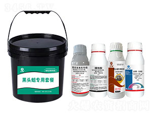 ���^����(zhu��n)���ײ�-�t�f(w��n)��-�l(xi��ng)�弾�L(f��ng)-���˹����r(n��ng)��