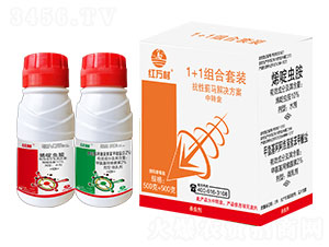 1+1�����E�R�M�����b-�t�f(w��n)��-�l(xi��ng)�弾�L(f��ng)-���˹����r(n��ng)��