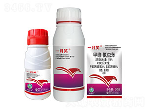 11.6%�׾S�����x(ch��ng)���Ҹ���-һ��Ц-�t�f(w��n)��-�l(xi��ng)�弾�L(f��ng)-���˹����r(n��ng)��