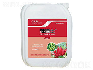 ����ʿ-�а����r(n��ng)