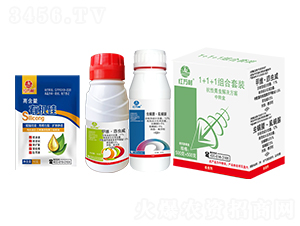 1+1�������x(ch��ng)�M�����b-�t�f(w��n)��-�l(xi��ng)�弾�L(f��ng)-���˹����r(n��ng)��