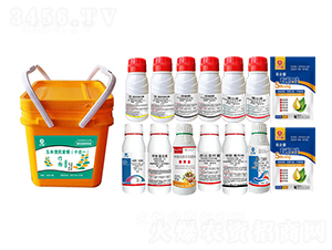 ���ױ����ײͣ�ʮ��һ��-�t�f��-�l(xi��ng)�弾�L(f��ng)-���˹����r(n��ng)��