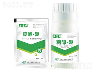 �Ǵ�����-�|����-���䌍(sh��)�I(y��)