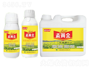 ���S��-�|����-���䌍(sh��)�I(y��)