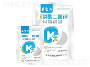 ��������-�|����-���䌍�I(y��)