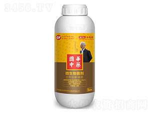 �����t(y��)-��ˎ�������Ѹ��B(y��ng)���o��������