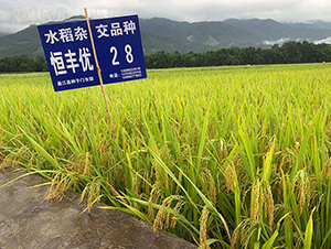 ���S��(y��u)28������(j��)���㵾��-ˮ���N��-���r(n��ng)�Ƽ�