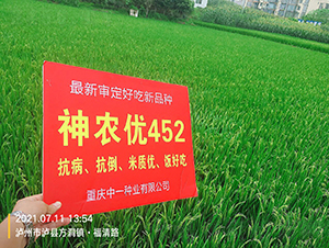 ���r(n��ng)��(y��u)452-ˮ���N��-���r(n��ng)�Ƽ�