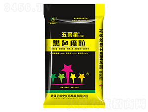 ��ɫħ��-�����-�A���еV