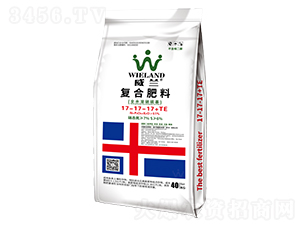 �ͺϷ���17-17-17+TE-���m-�����D