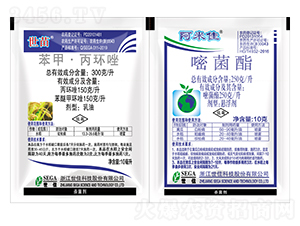 ����+���׼�-����