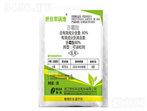 80%��ù��-���Ѵ�M��-����