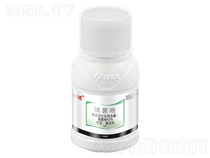 40%�����-����-����