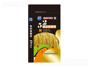 52΢�������-�ζ�ͥ���ʘI(y��)