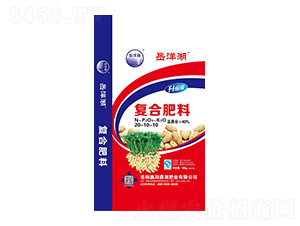 ����(j��)���(f��)�Ϸ���20-10-10-�����-�ζ�ͥ���ʘI(y��)