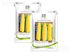 �δ�һ̖-���׷N��-�����r(n��ng)ˇ