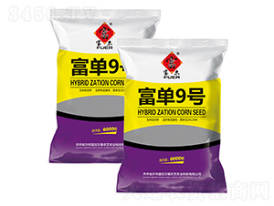 ����9̖-���׷N��-�����r(n��ng)ˇ