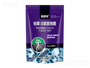 �ݲݡ��������߾�-�η���-��������