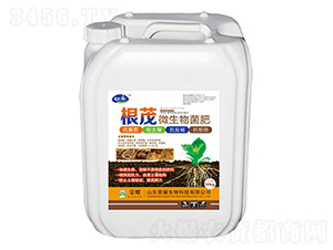 ��ï΢�������-����-�sҫ�r�I(y��)