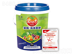 ̼ø���������-����(d��ng)��-�sҫ�r(n��ng)�I(y��)