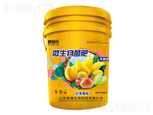 â��΢�������-ِʩ��-�sҫ�r�I(y��)