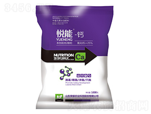 �����}-�sҫ�r(n��ng)�I(y��)