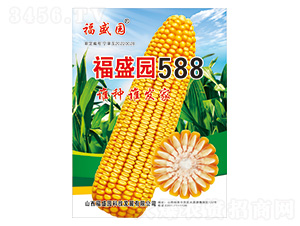 ��ʢ�@588-���׷N��-��(qi��ng)ʢ�N�I(y��)