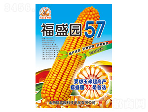 ��ʢ�@57-���׷N��-��(qi��ng)ʢ�N�I(y��)