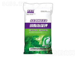 ̼ø�����-ِʩ��-�sҫ�r(n��ng)�I(y��)