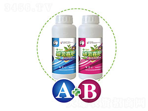 ̼��ѷ�A+B�M���~����ײ�-���o�n