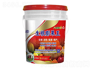 ���������-�����_(d��)����