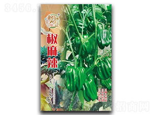 ������-�����N��-�����r(n��ng)�I(y��)