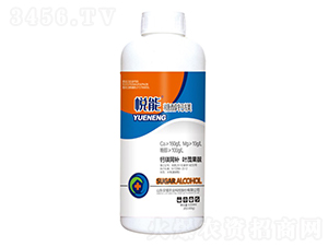 �Ǵ��}�V��ƿ��-����-�sҫ�r(n��ng)�I(y��)