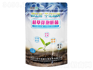 �ݲ�ѿ�ߗU��-������ǧ�|�ݴ�-�A��(chu��ng)