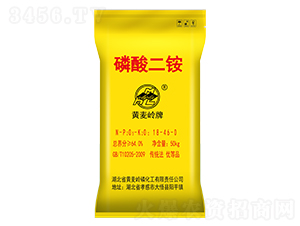 64%������@-�S���X