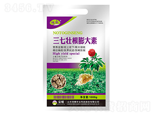 ���߉Ѹ������-�M(j��n)��-�sҫ�r(n��ng)�I(y��)