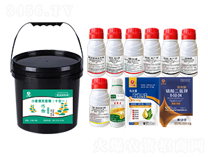 С�������ײͣ�ʮ��һ��-�l(xi��ng)�弾�L