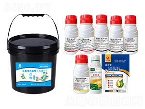 С�������ײͣ��˺�һ��-�l(xi��ng)�弾�L