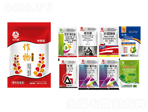 �������M�����b�����b��-�l(xi��ng)�弾�L