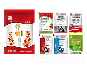 ���b�������M�����b������һ��-�l(xi��ng)�弾�L