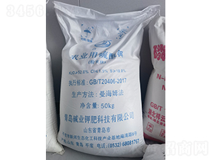 �r(n��ng)�I(y��)������⛣���ĩ����ӹ�