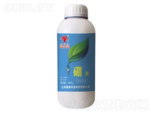 ����-¡̩�r(n��ng)�I(y��)