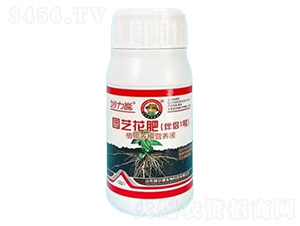 �����ܰ�Hһ̖���@ˇҺ�B(t��i)���ʣ�-ʩ����