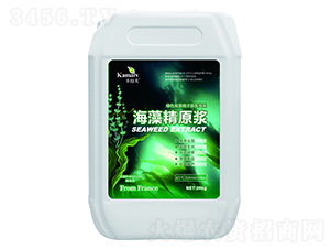 ���徫ԭ�{-���~��