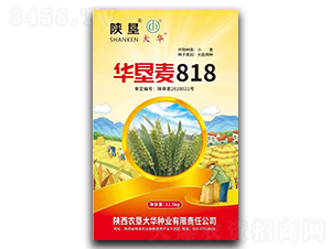 �A����818-С���N��-ꃉ����A