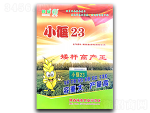 С��23-С���N��-ꃉ����A