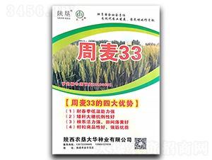 ����33-С���N��-ꃉ����A