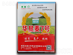 �A����7̖(h��o)-С���N��-ꃉ����A